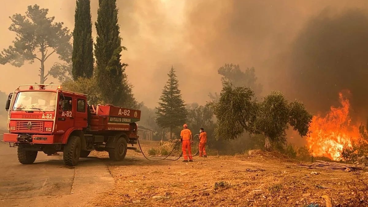 New best parada wave