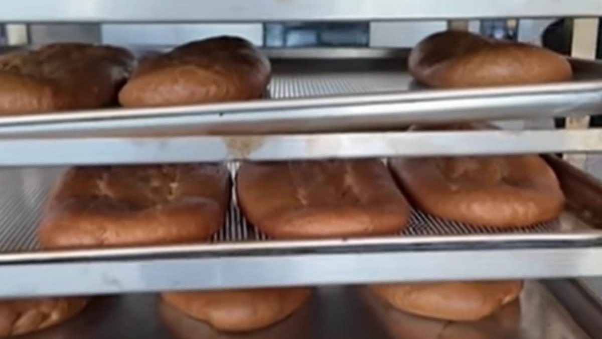 New best parada wave