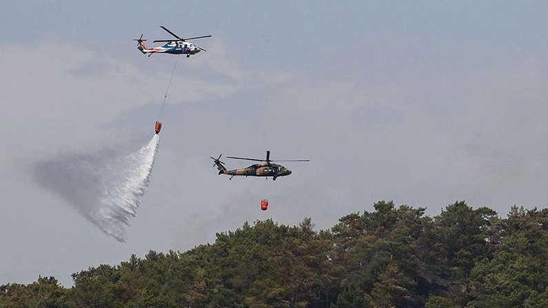 New best parada wave