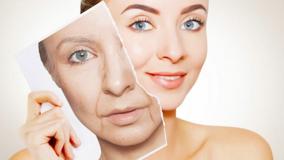 New best parada wave