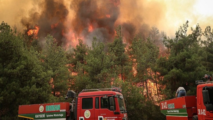 New best parada wave