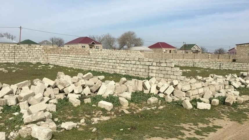 New best parada wave