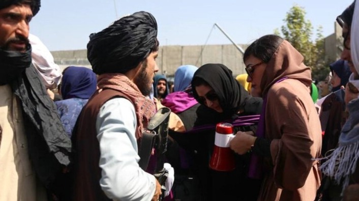 New best parada wave