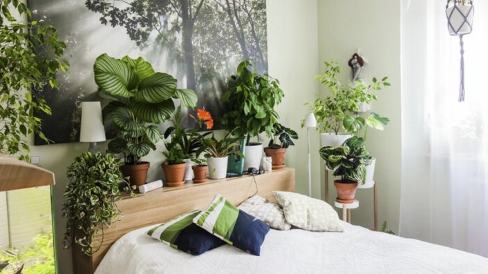 New best parada wave