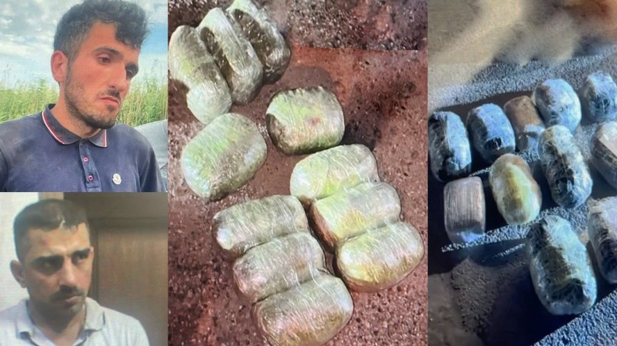 New best parada wave