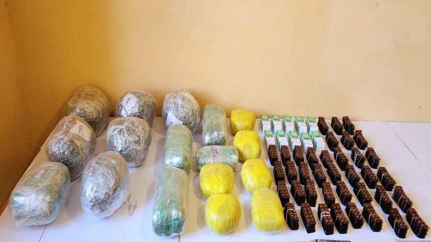 New best parada wave