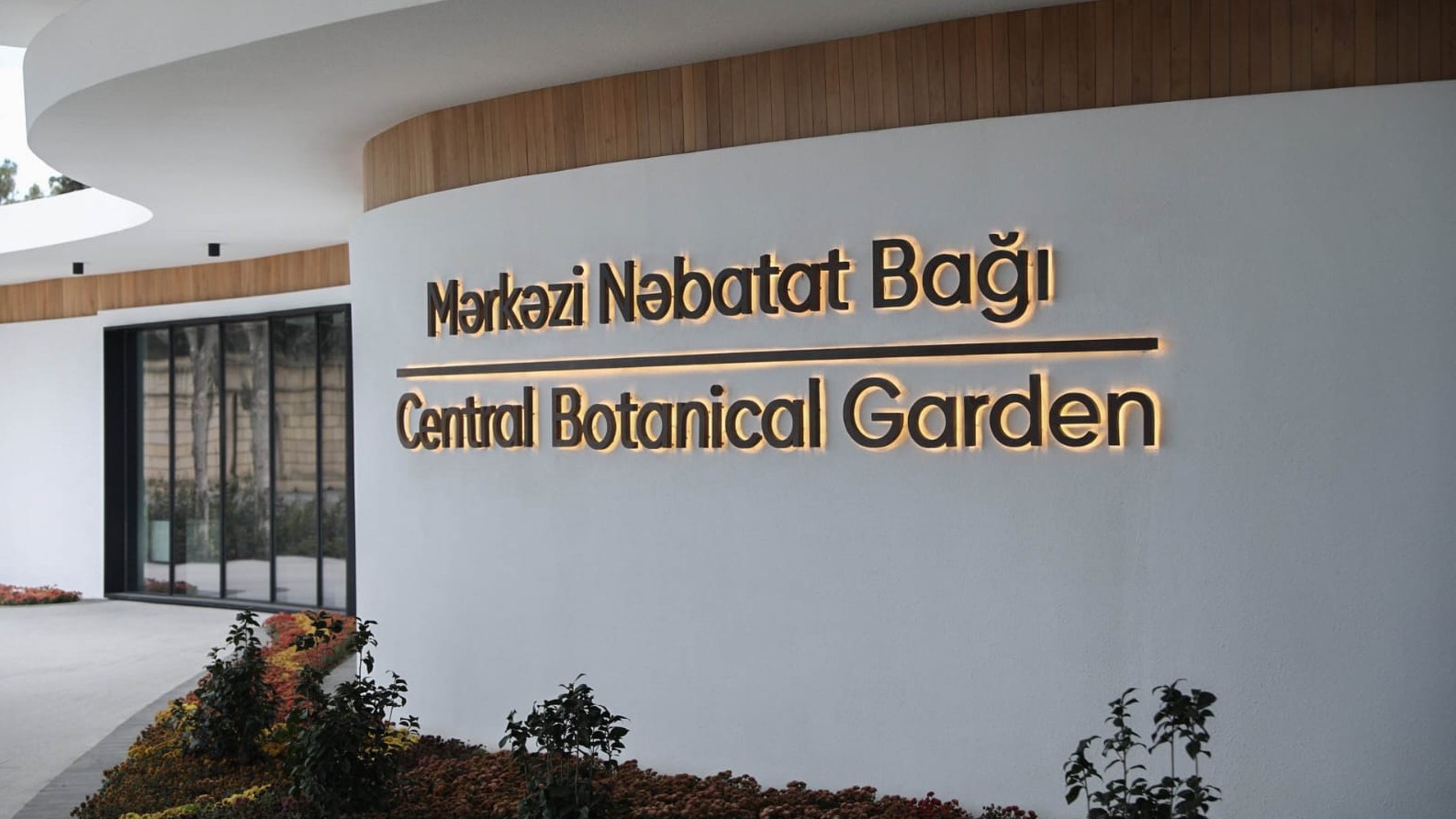 New best parada wave