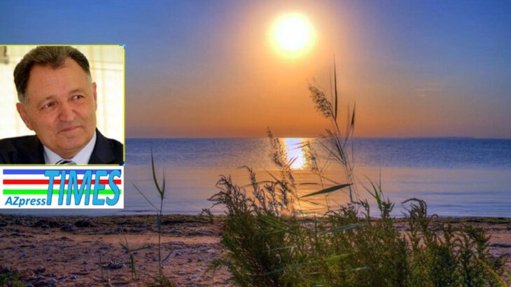 New best parada wave