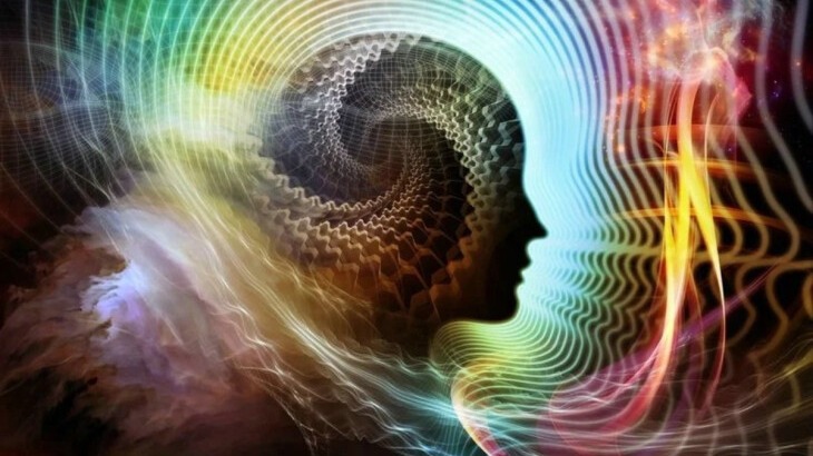 New best parada wave