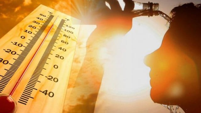 New best parada wave