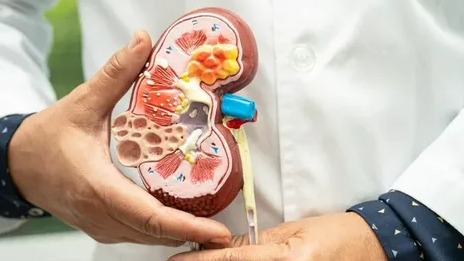 New best parada wave