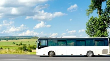 New best parada wave