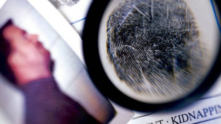 New best parada wave