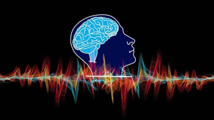 New best parada wave