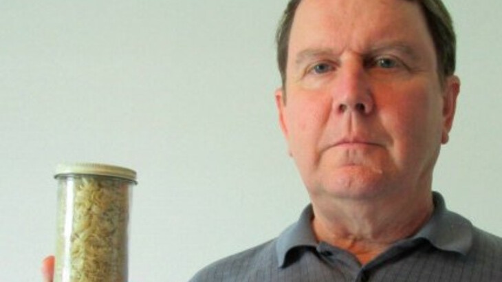 New best parada wave