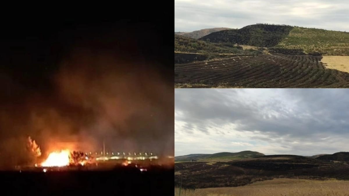 New best parada wave