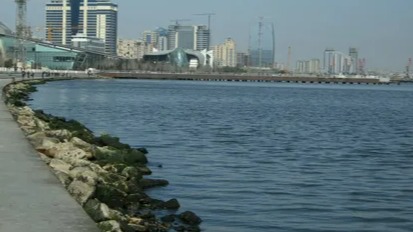 New best parada wave