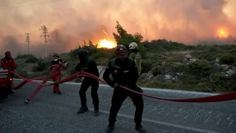 New best parada wave