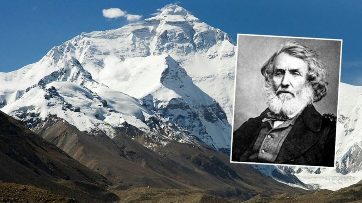 New best parada wave