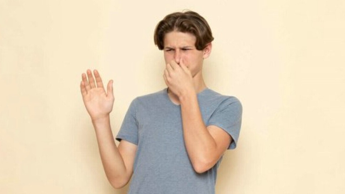 New best parada wave