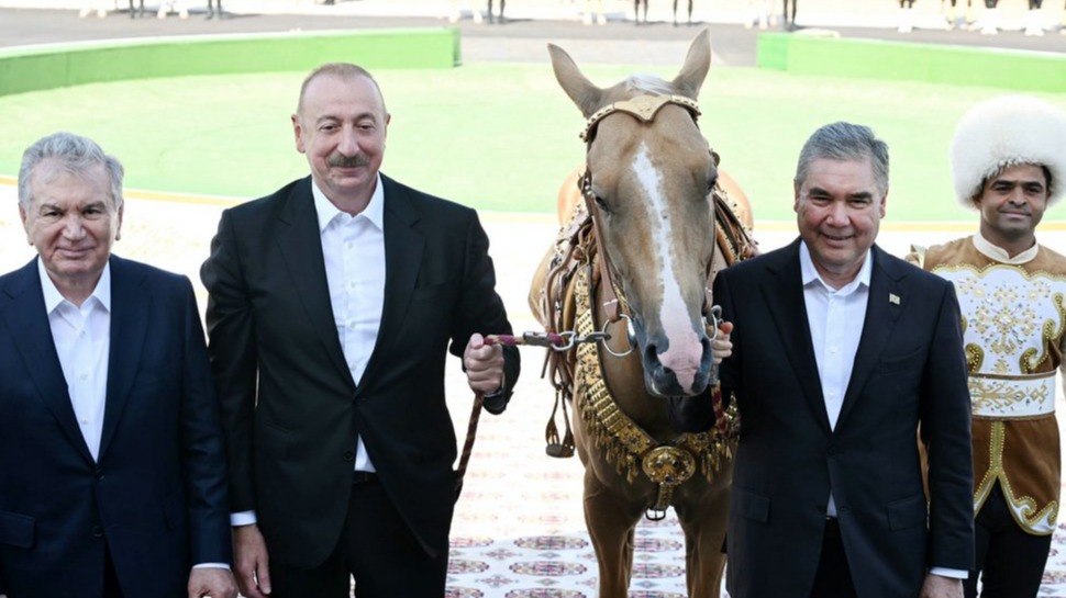 New best parada wave