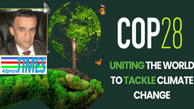 New best parada wave