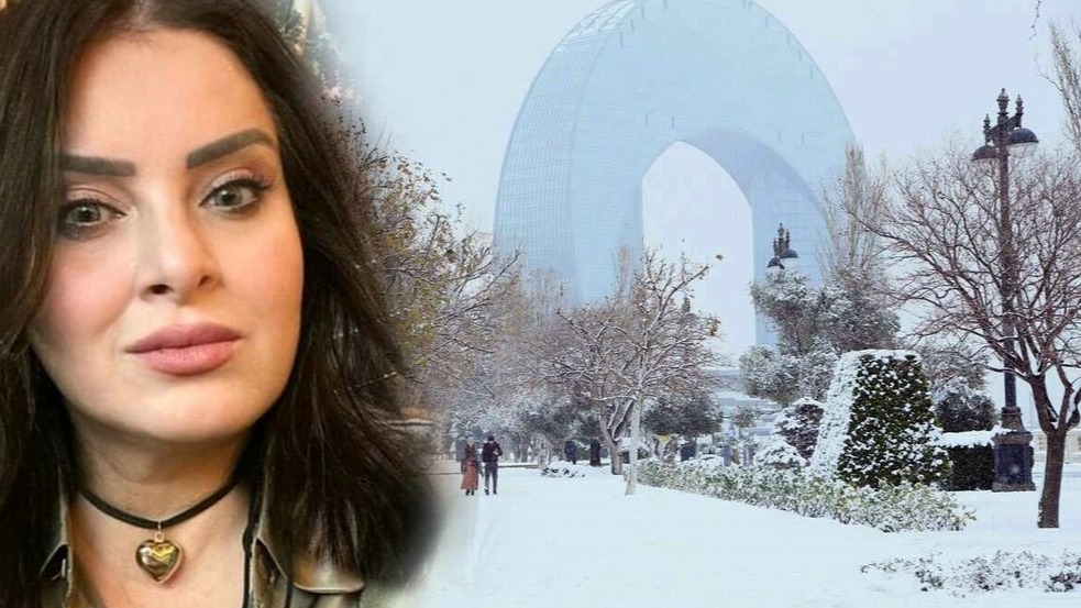 New best parada wave