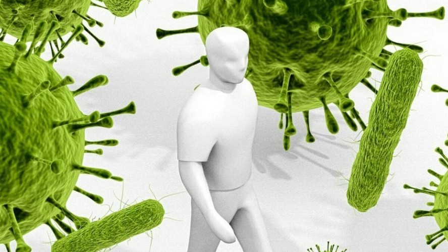 New best parada wave