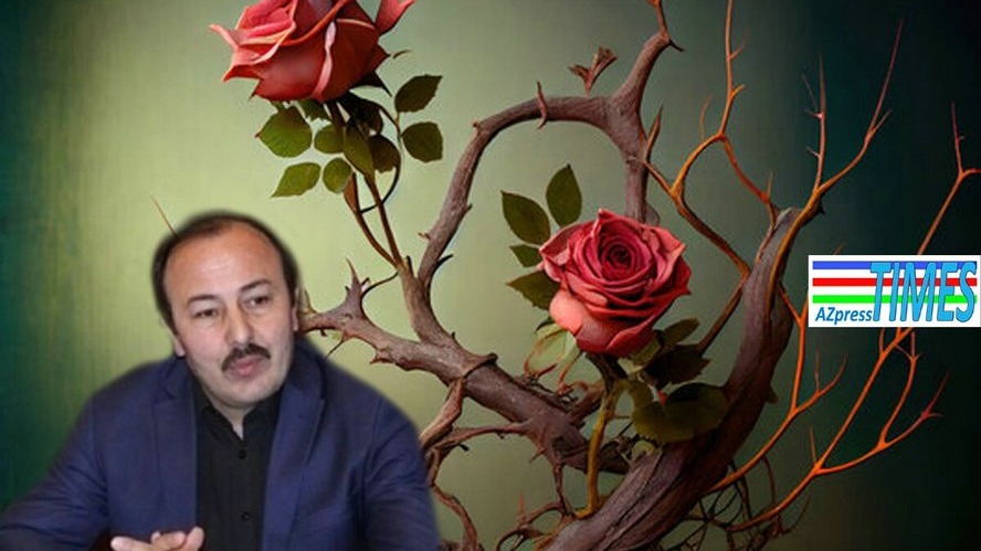 New best parada wave