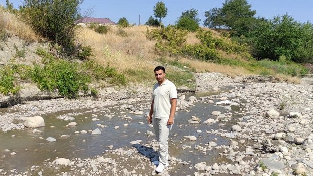 New best parada wave