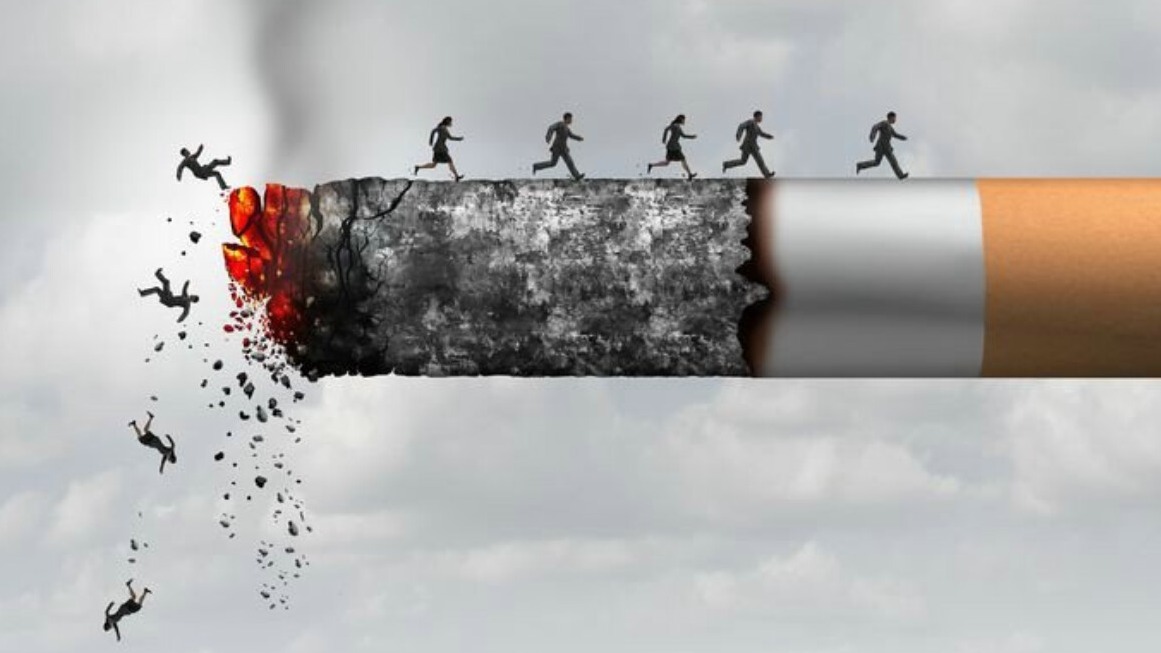 New best parada wave