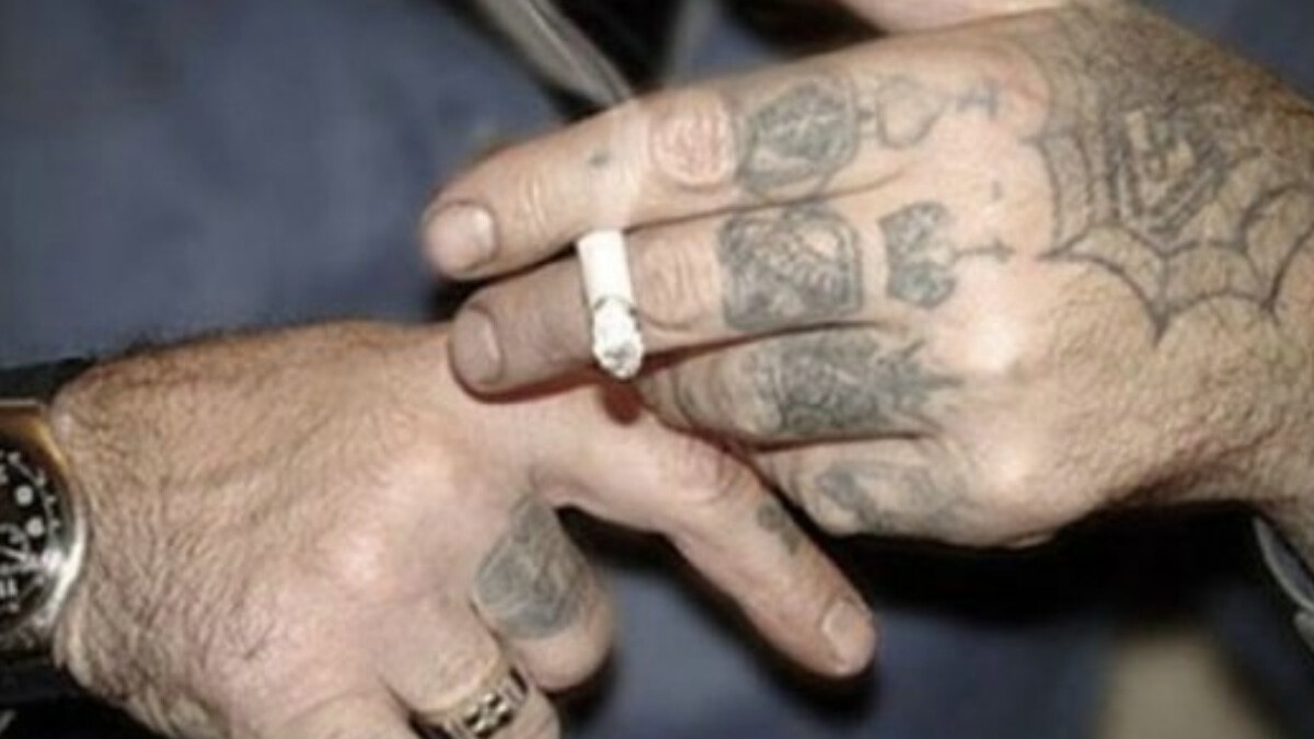 New best parada wave