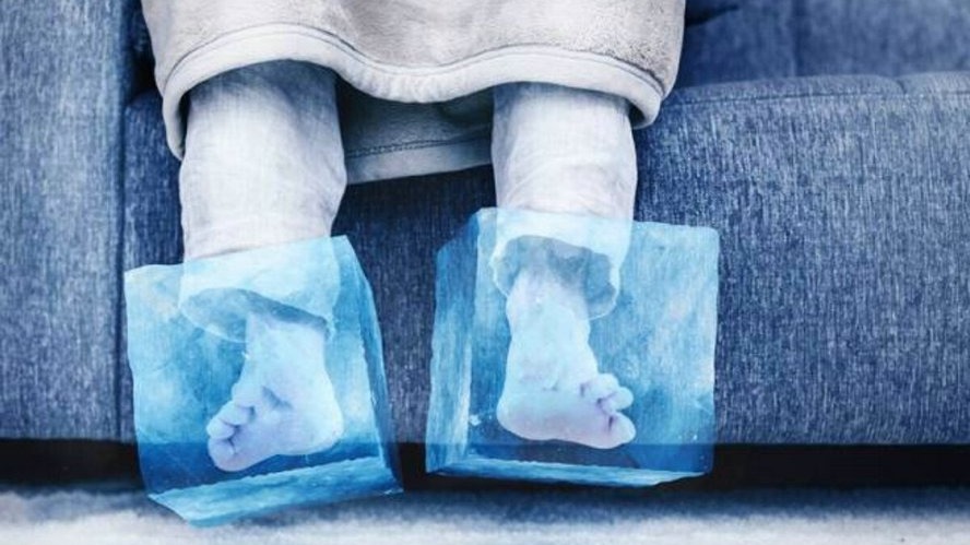 New best parada wave