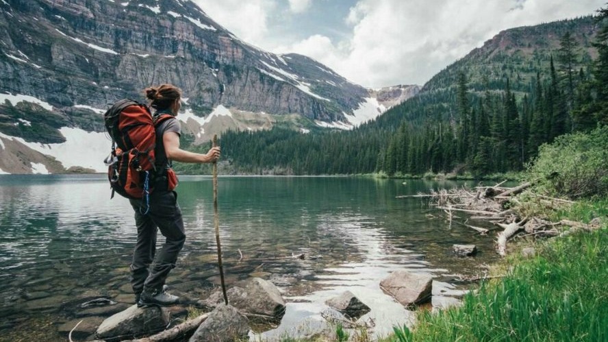 New best parada wave