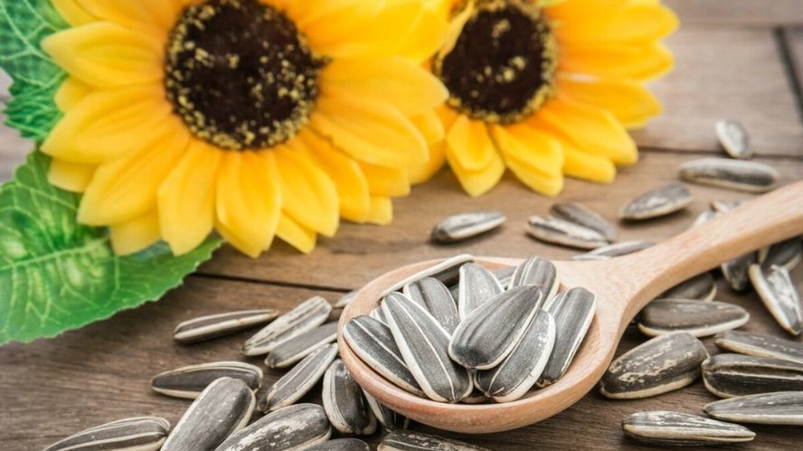 New best parada wave