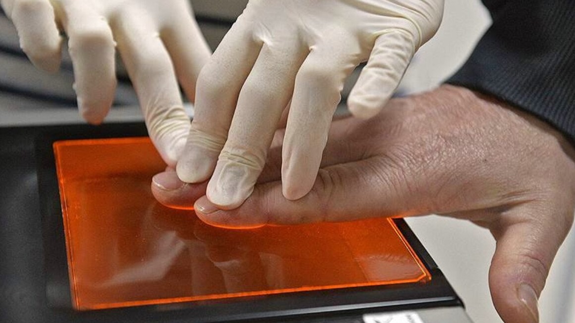 New best parada wave