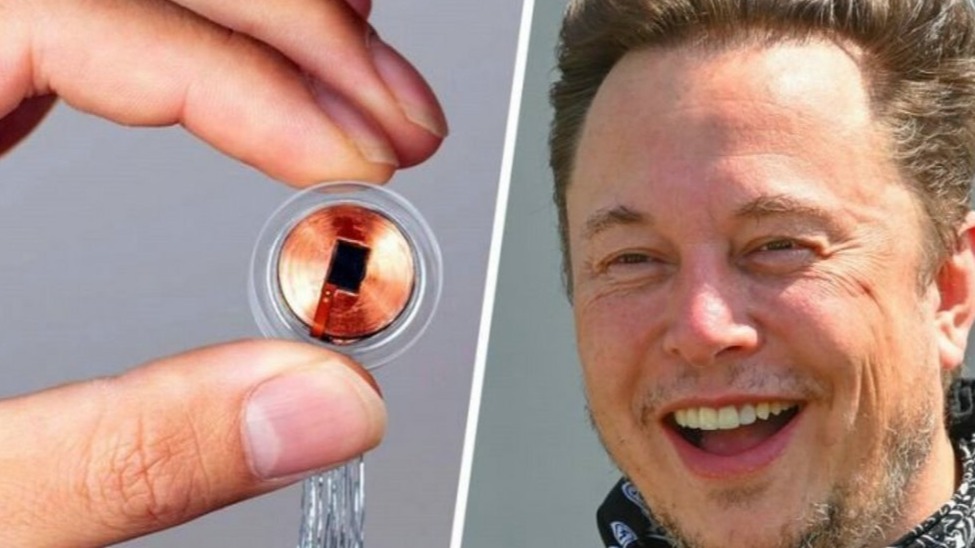 New best parada wave