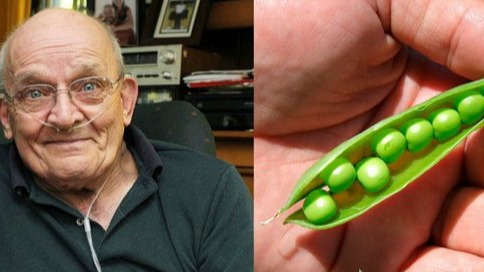 New best parada wave