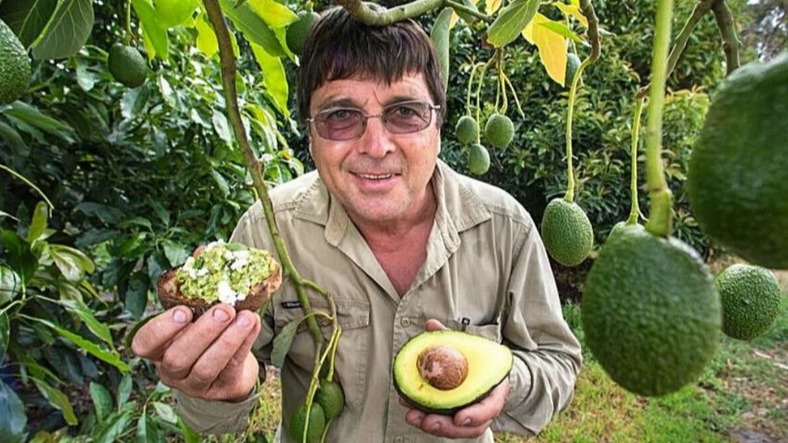 New best parada wave