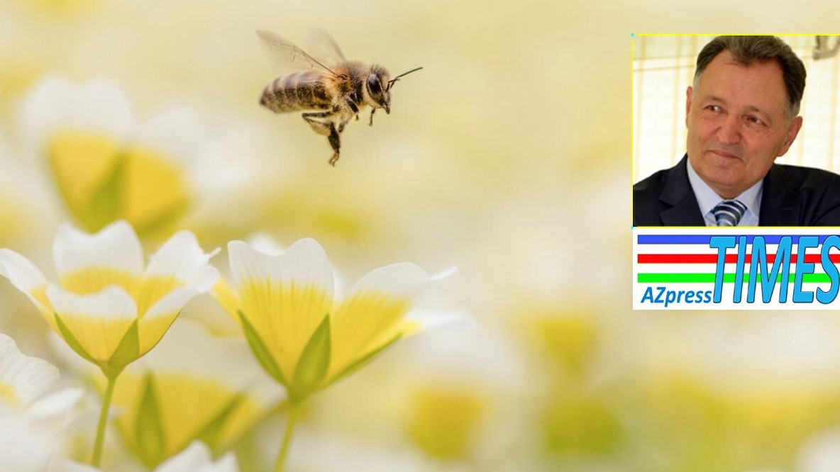 New best parada wave