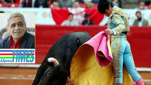 New best parada wave