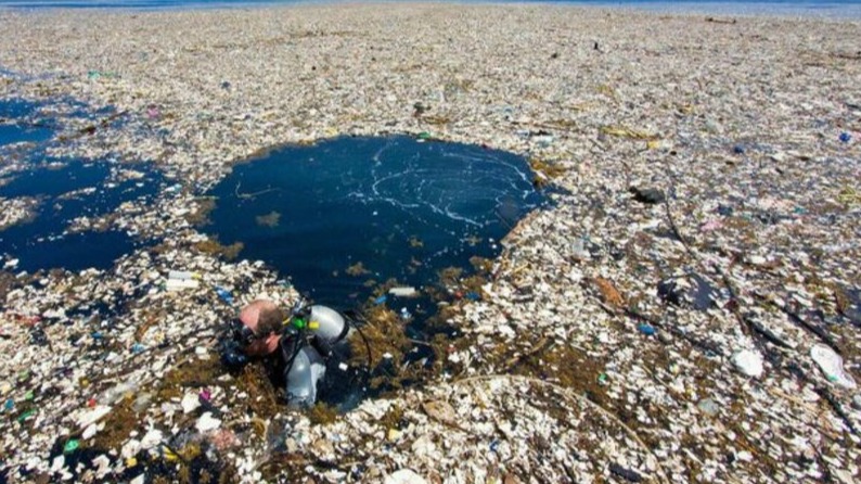 New best parada wave