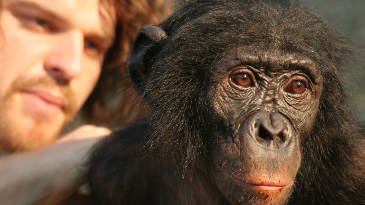 New best parada wave