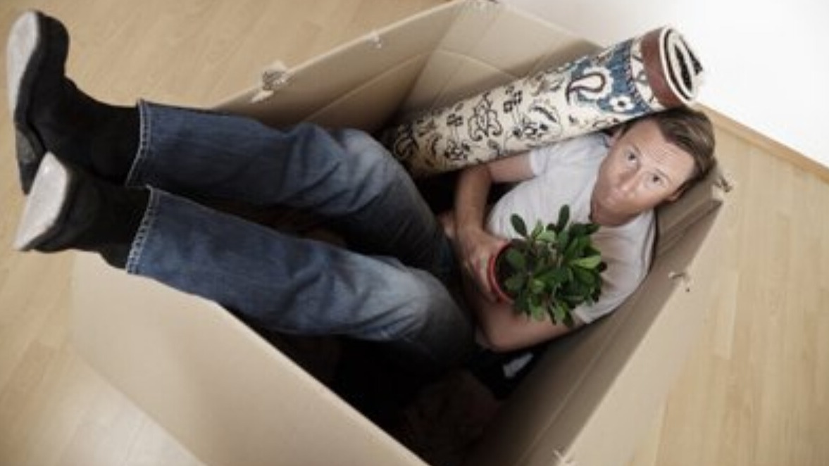 New best parada wave