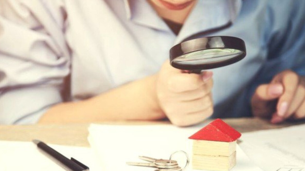 New best parada wave