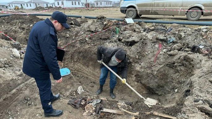 New best parada wave