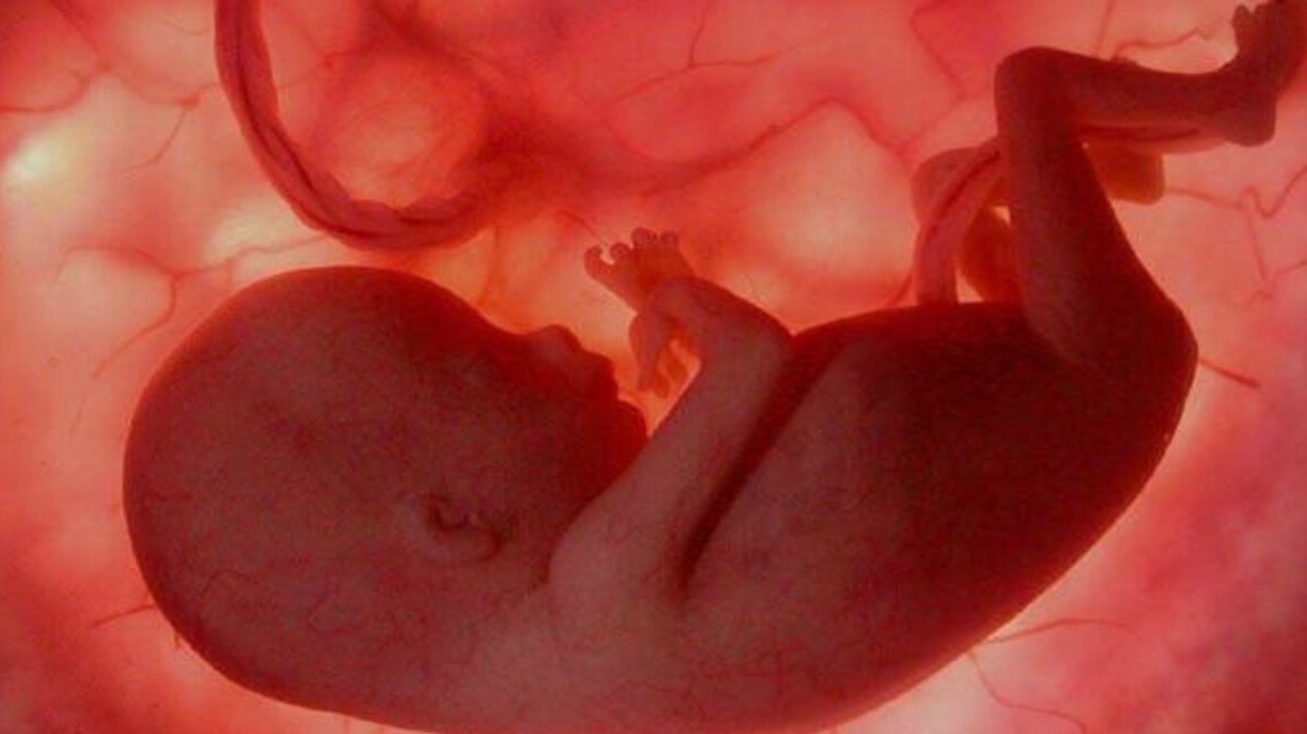 New best parada wave