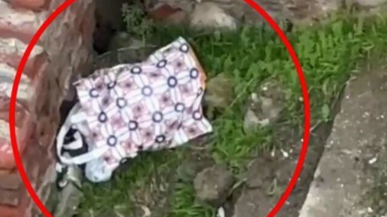 New best parada wave