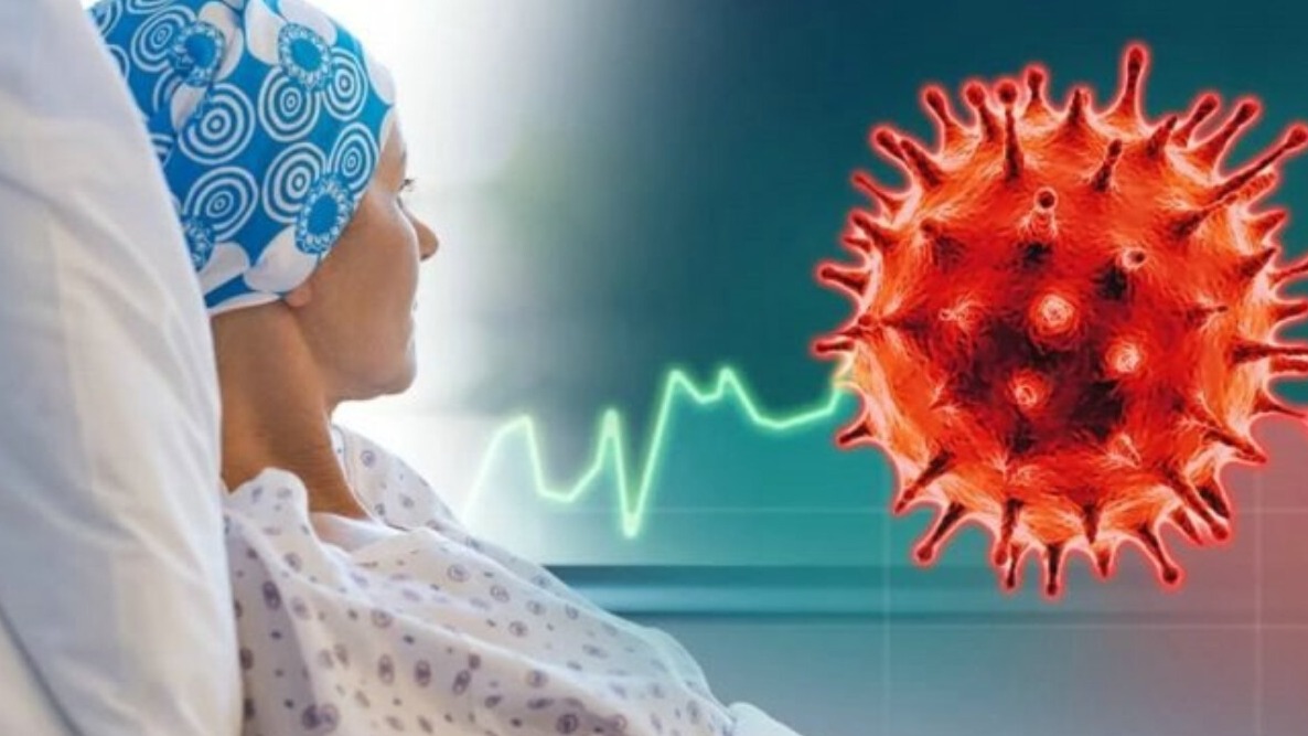 New best parada wave