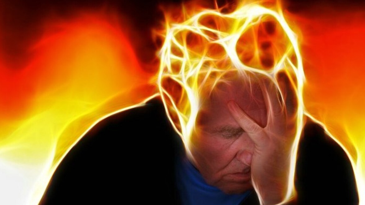 New best parada wave